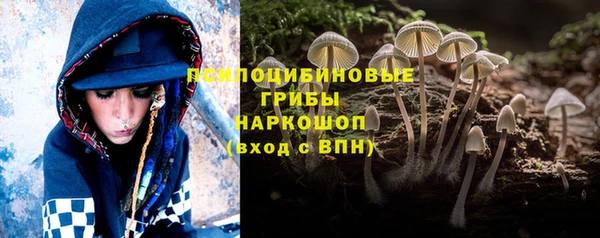 наркотики Богородск