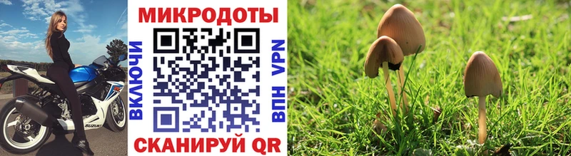 Галлюциногенные грибы мицелий  Буйнакск 