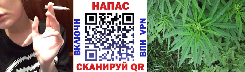 Конопля SATIVA & INDICA  где купить   Буйнакск 